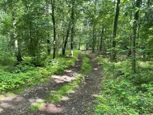 Prodej chaty, Dolany, 35 m2