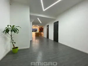 Pronájem obchodního prostoru, Brno, Merhautova, 56 m2