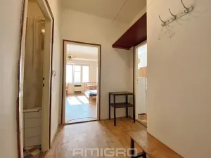 Pronájem bytu 1+1, Brno, Bayerova, 41 m2