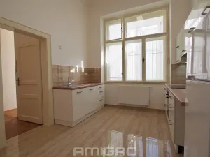 Pronájem bytu 1+1, Brno, Česká, 55 m2