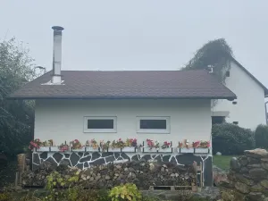 Prodej komerční, Pluhův Žďár - Jižná, 28792 m2