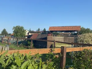 Prodej komerční, Pluhův Žďár - Jižná, 28792 m2