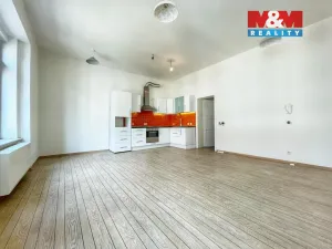 Prodej rodinného domu, Slaný, Tyršova, 246 m2