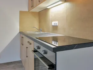 Pronájem bytu 1+kk, Plzeň, Rejskova, 50 m2