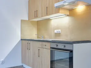 Pronájem bytu 1+kk, Plzeň, Rejskova, 50 m2