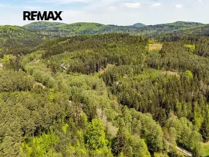 Prodej louky, Cvikov, 5335 m2