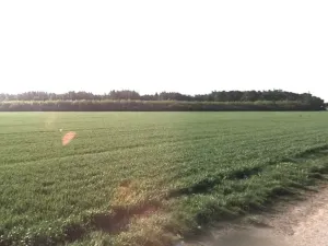 Prodej pole, Mečeříž, 8991 m2