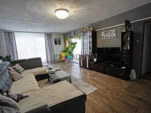 Prodej rodinného domu, Nový Malín, 300 m2