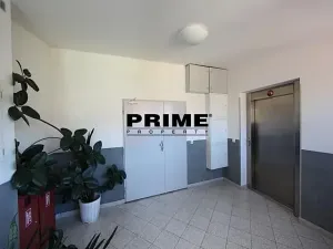 Pronájem bytu 5+1, Praha - Smíchov, Štefánikova, 168 m2