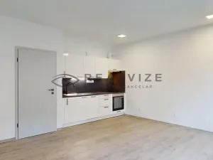 Pronájem bytu 2+kk, České Budějovice, Puklicova, 50 m2