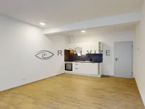 Pronájem bytu 1+kk, České Budějovice, Puklicova, 38 m2