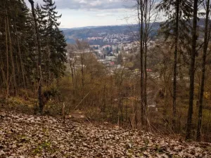 Prodej lesa, Semily, 1939 m2