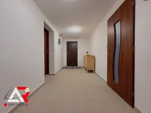 Prodej rodinného domu, Velešovice, 451 m2