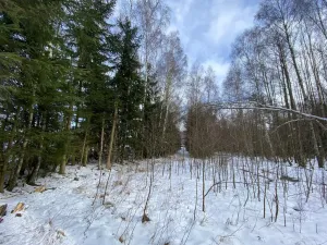 Prodej pozemku, Volfířov - Brandlín, 5958 m2