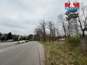 Prodej lesa, Býšť, 3807 m2