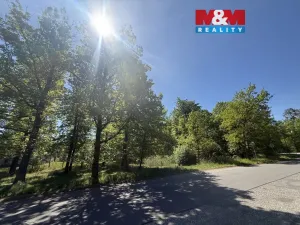 Prodej lesa, Býšť, 3807 m2