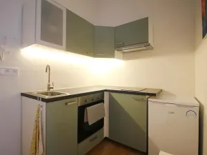 Pronájem bytu 1+kk, Brno, Koliště, 26 m2