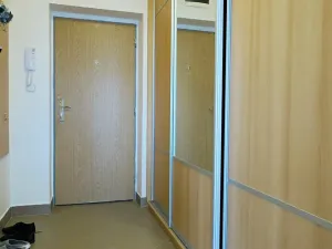 Pronájem bytu 1+kk, Brno, Dusíkova, 41 m2