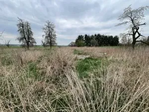 Prodej rodinného domu, Sekeřice, 130 m2