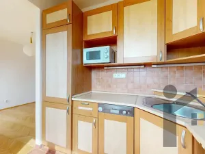 Pronájem bytu 1+kk, Praha - Holešovice, U průhonu, 28 m2