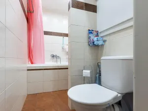 Pronájem bytu 4+kk, Litoměřice, Družstevní, 64 m2