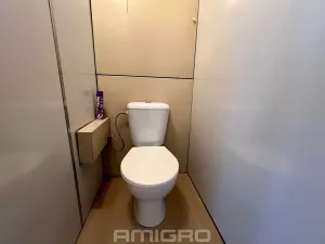 Prodej bytu 2+kk, Brno, Labská, 45 m2