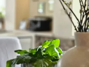 Prodej rodinného domu, Křišťanov, 420 m2