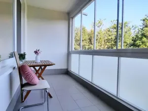 Pronájem bytu 1+kk, Brno, Šemberova, 51 m2