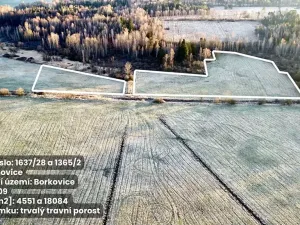 Prodej pole, Borkovice, 37657 m2