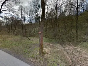 Prodej louky, Liberec, 3161 m2