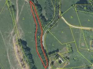 Prodej lesa, Dubnice, 2000 m2