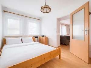 Prodej rodinného domu, Ždírec nad Doubravou, 290 m2