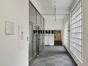 Pronájem kanceláře, Praha - Nové Město, Opletalova, 28 m2