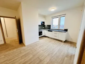 Pronájem bytu 2+kk, Mikulov, Slovácké brigády, 43 m2