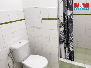 Pronájem bytu 1+1, Louny, Tomanova, 35 m2