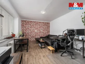 Prodej bytu 1+1, České Budějovice - České Budějovice 6, Mánesova, 33 m2