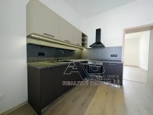 Pronájem bytu 1+kk, České Budějovice, Fráni Šrámka, 40 m2