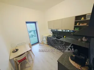 Pronájem bytu 1+kk, České Budějovice, Fráni Šrámka, 40 m2