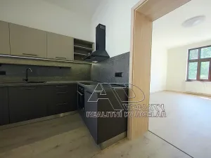 Pronájem bytu 1+kk, České Budějovice, Fráni Šrámka, 40 m2