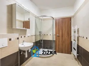 Pronájem bytu 1+kk, Rousínov, Sušilovo náměstí, 24 m2