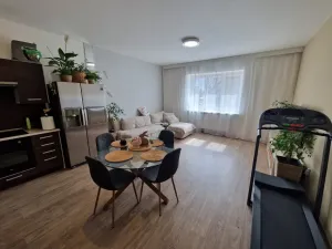 Pronájem bytu 3+kk, Ostrava - Mariánské Hory, Mariánské náměstí, 73 m2