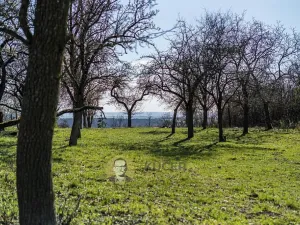 Prodej rodinného domu, Střemy, 100 m2