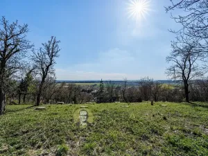 Prodej pozemku pro bydlení, Střemy, 3158 m2