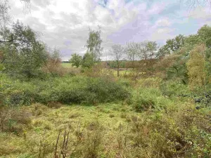 Prodej pozemku, Horní Dvořiště, 10042 m2