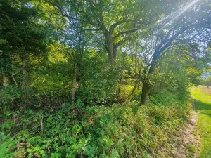 Prodej zahrady, Blansko, 1635 m2