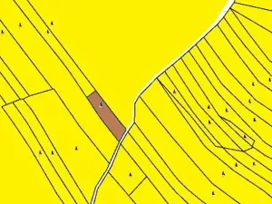 Prodej lesa, Častrov, 1295 m2