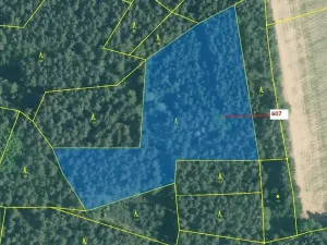 Dražba lesa, Kuřimany, 10437 m2