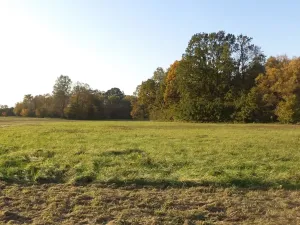 Dražba louky, Petrovice u Karviné, 6981 m2