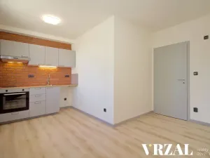 Pronájem bytu 2+kk, Plzeň, Francouzská třída, 33 m2