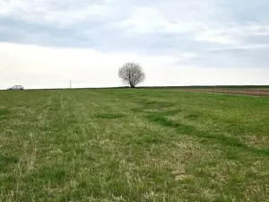 Prodej pozemku pro bydlení, Borkovany, 1606 m2